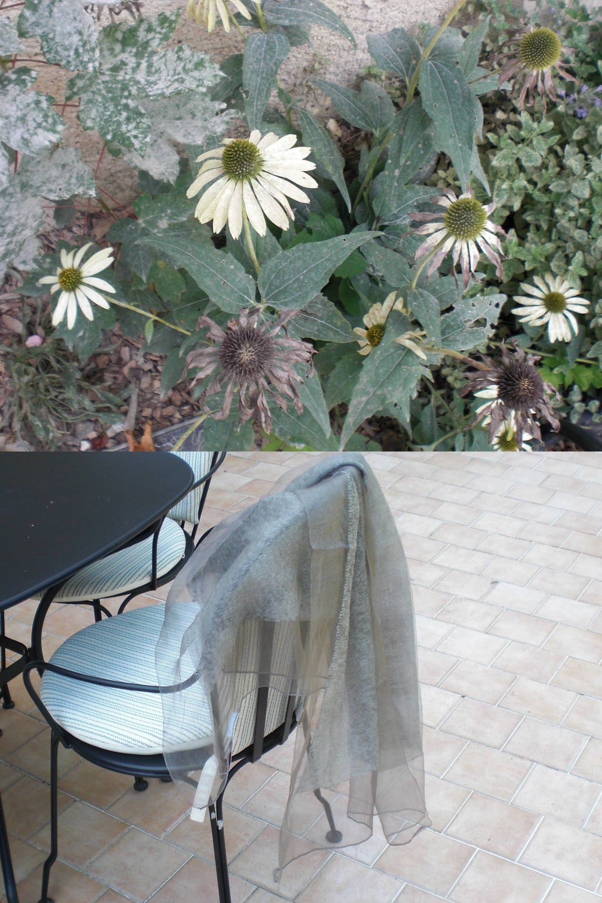 A sheer gray tulle scarf draped over a black metal patio chair on a tiled outdoor patio, with a garden of white coneflowers in the background.